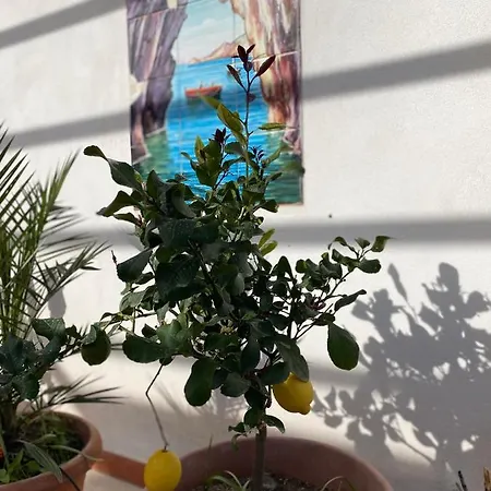 Medusa Exclusive Rooftop Taormine